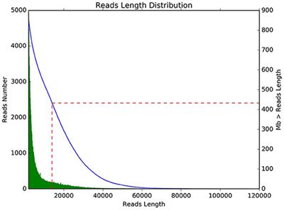 Complete genome analysis of Bacillus subtilis derived from yaks and its probiotic characteristics